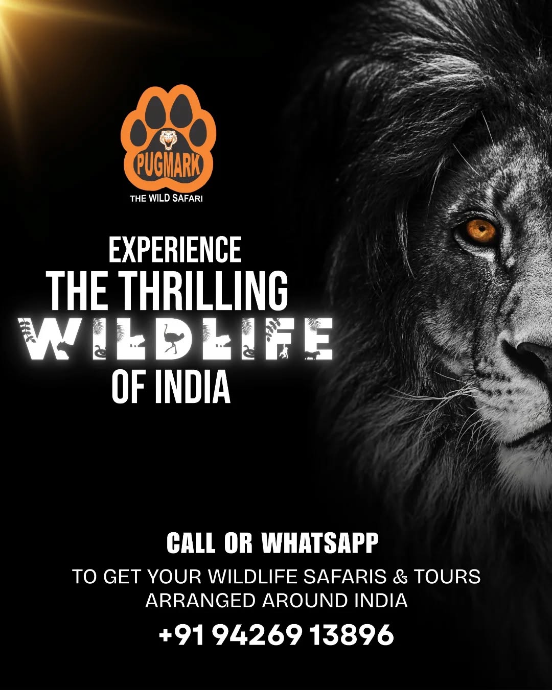 Step into the wild and feel the roar of nature!
Explore India’s most thrilling wildlife destinations with Pugmark – your trusted partner for unforgettable safari adventures. 🐾🦁🌿
Book your wildlife tour now!

#pugmarksafari #wildlifeindia #indiansafari #wildlifelovers #safariexperience #natureescape #junglesafari #wildlifephotography #exploreindia #travelindia #adventureawaits #wildlifeadventures
