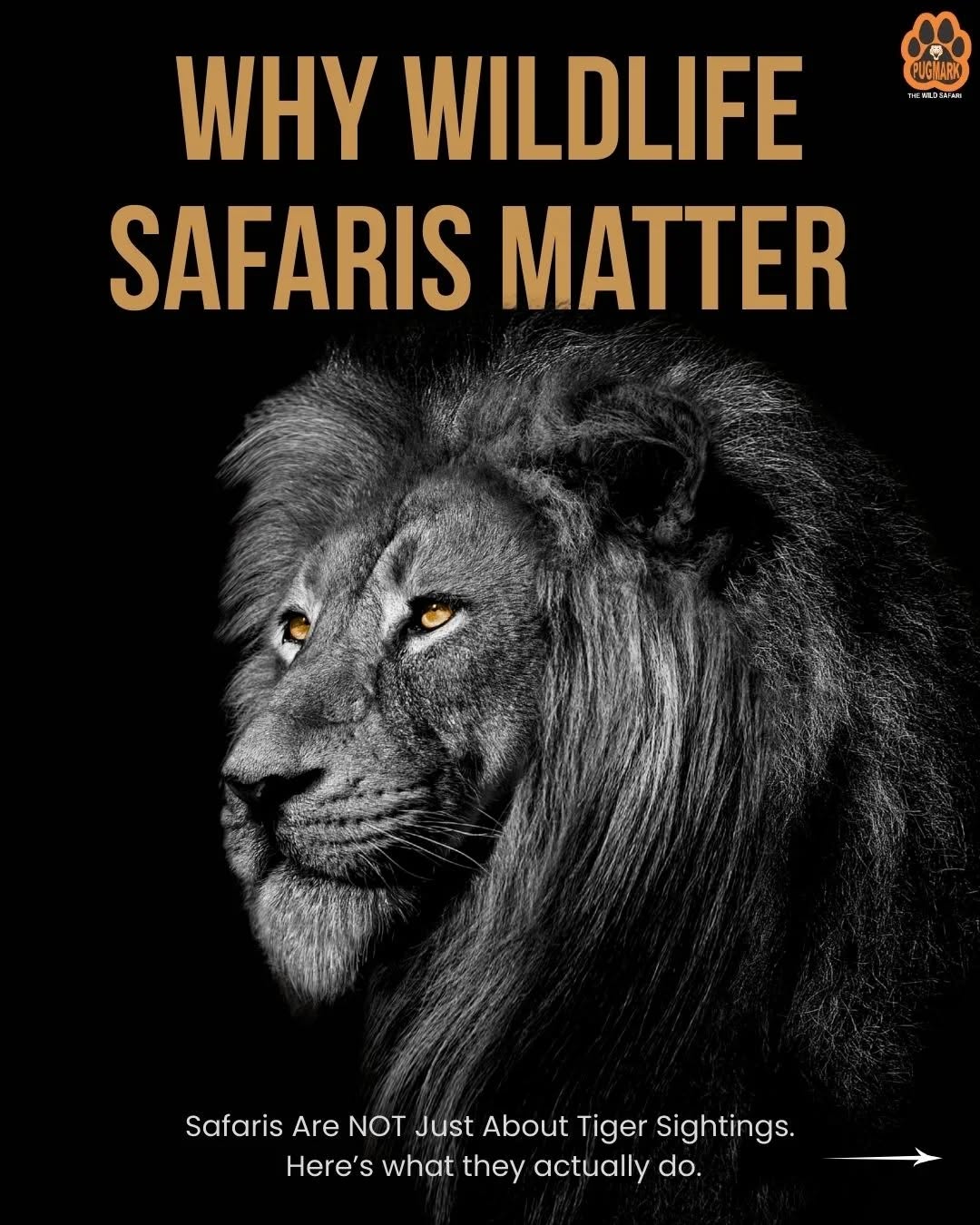 Step into the wild where every moment feels alive.
With Pugmark Safaris, you don’t just witness wildlife — you support [responsible tourism], [wildlife conservation], and [eco-friendly travel]. 🐾🌍

From the silent grace of a lion to the heartbeat of untouched jungles, every safari tells a story worth experiencing.
Ready to travel with purpose?

👉 DM “WILD” to plan your next [safari adventure].

#PugmarkSafari #WildlifeSafari #ResponsibleTourism #EcoTravel #SustainableTravel #JungleExperience #WildlifePhotography #SafariIndia #NatureLovers #ConservationMatters #TravelWithPurpose #ExploreWildlife #IntoTheWild #BigCatsOfIndia #ᴀᴅᴠᴇɴᴛᴜʀᴇᴀᴡᴀɪᴛs