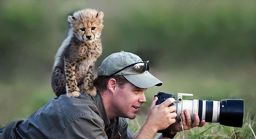 animals with camera helping photographers 12  880