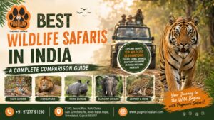 Best Wildlife Safaris in India: A Complete Comparison Guide